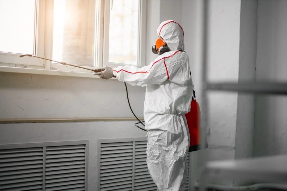 Professional mold remediation services in Lambertville, NJ